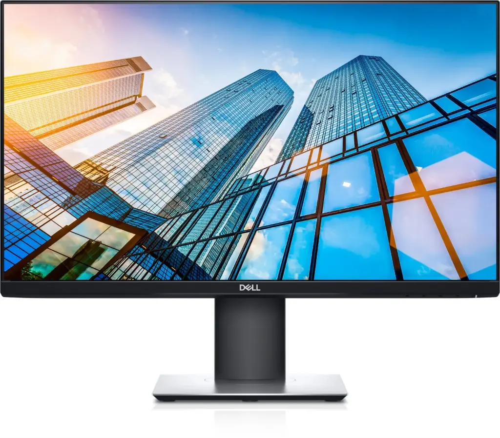 Dell 24 inch Monitor